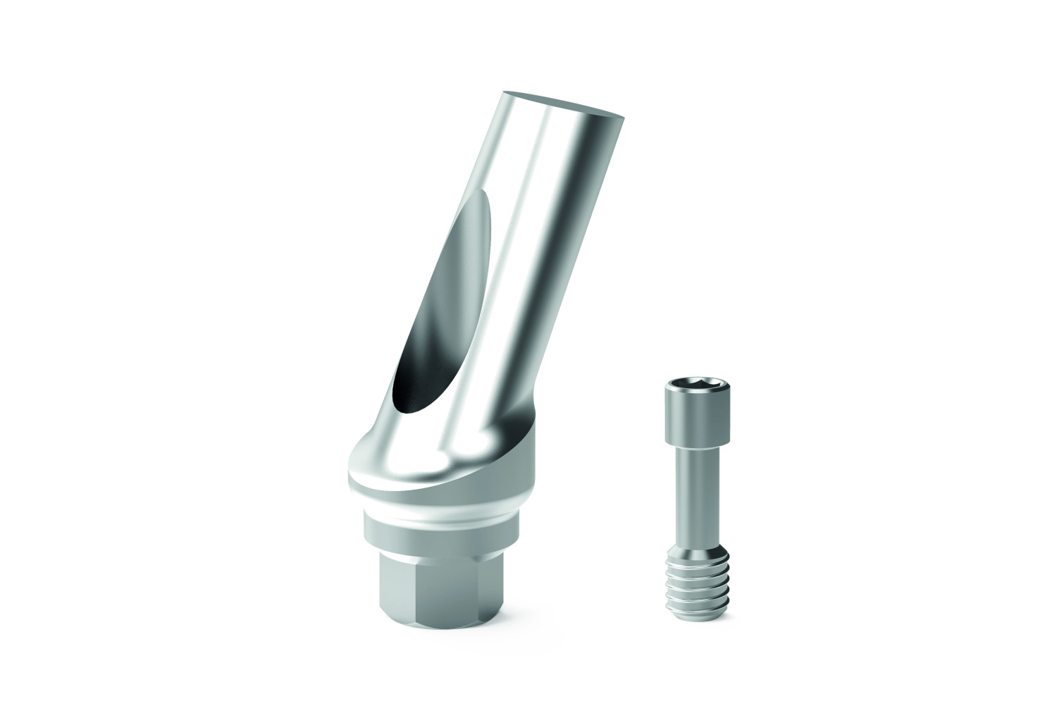 Anatomic Definitive Angled Abutments : S1B2 [X] 2545