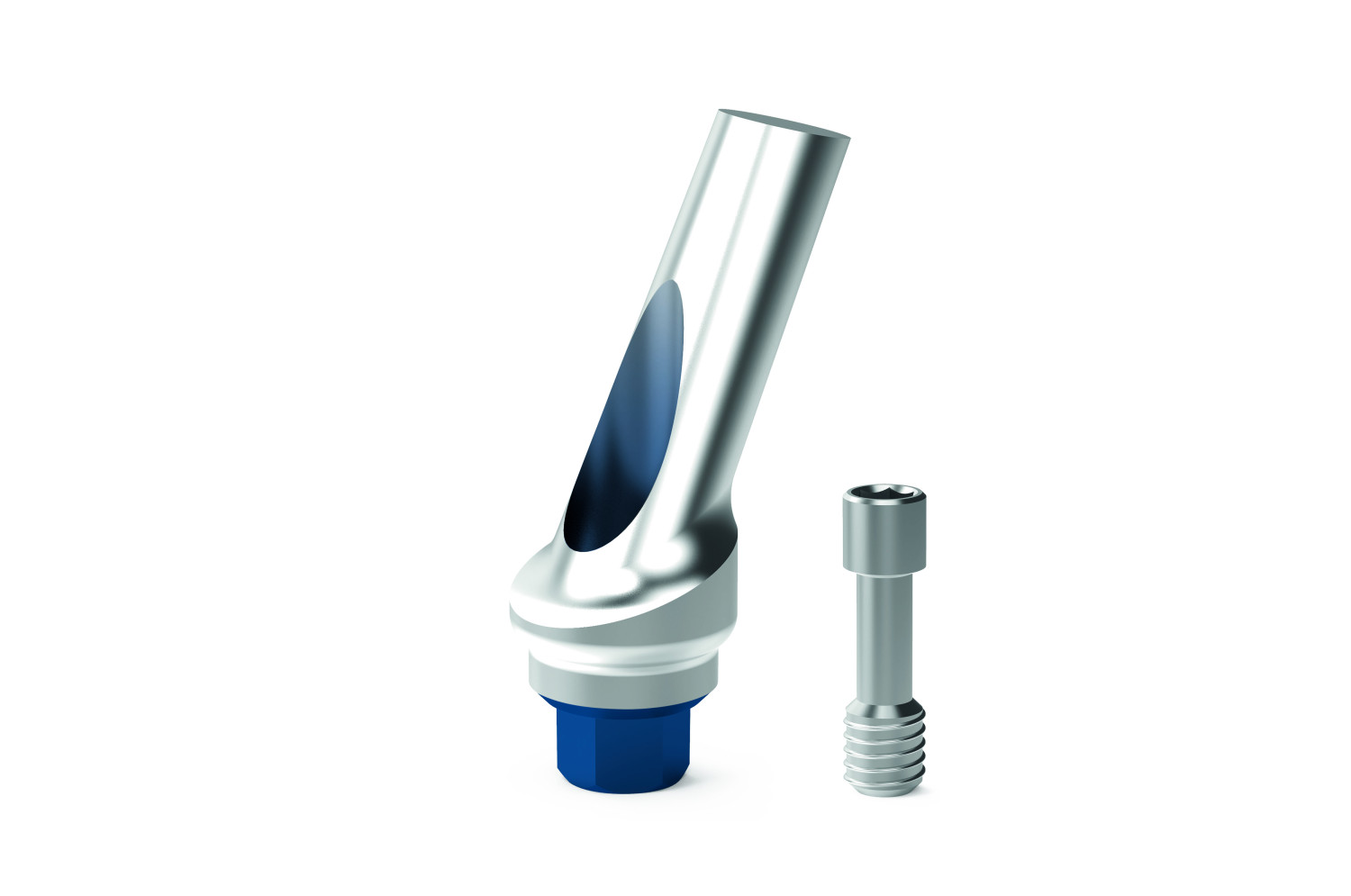Anatomic Definitive Angled Abutments Code : S1BN2 [X] 2540F
